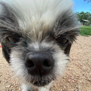 Meet your Posher, Kylah